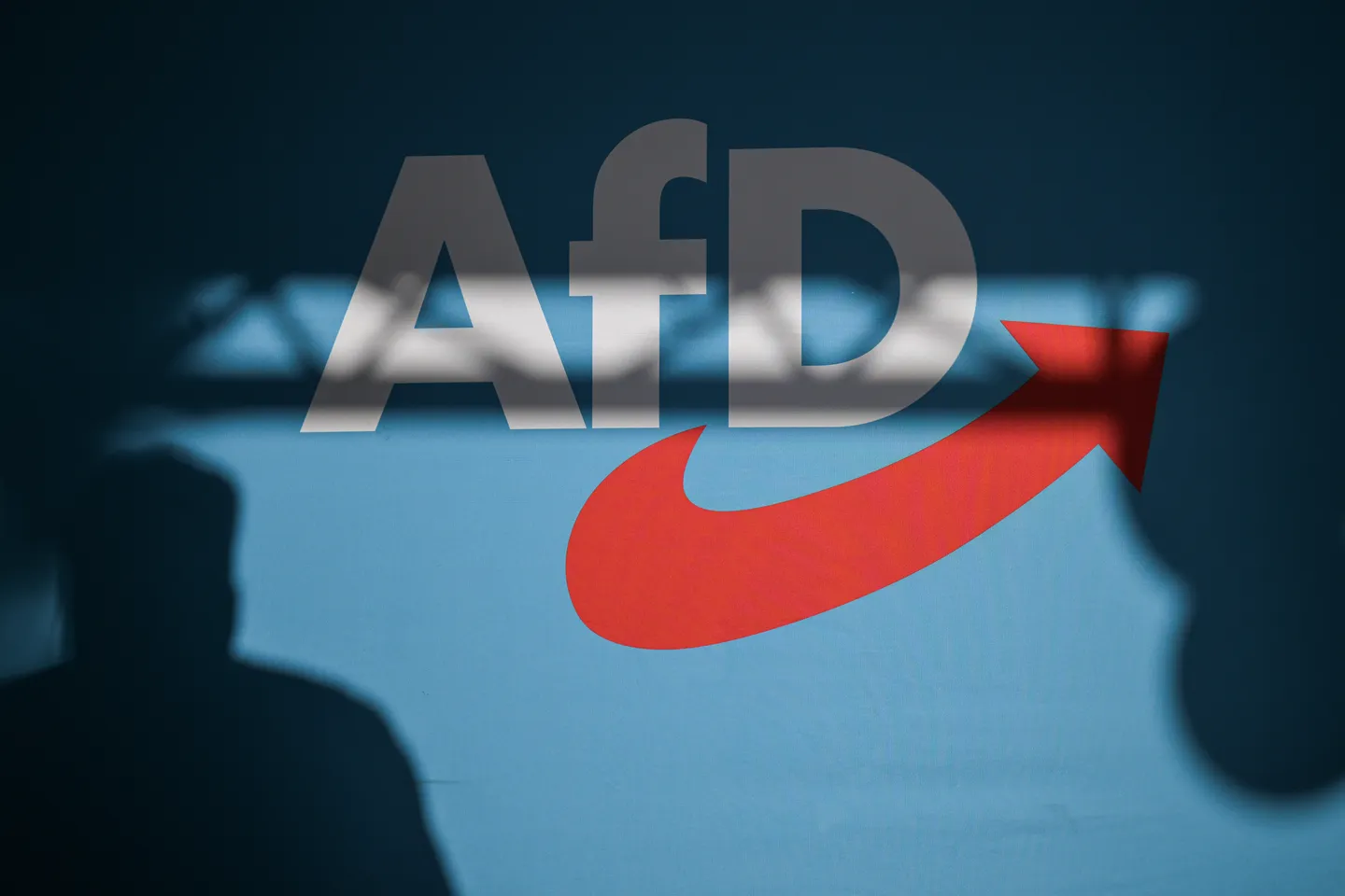Debatte über AfD-Leute im Staatsdienst und Parteifinanzen